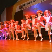 IMG_8225