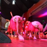 IMG_8911