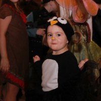 IMG_0511