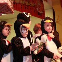 IMG_0537