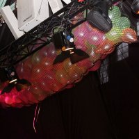 IMG_0858
