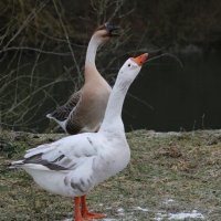 IMG_0712