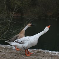 IMG_0716