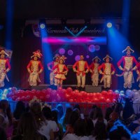 dasi-060