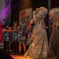 dasi-181