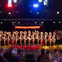 26_dasi_lq-133