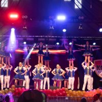 26_dasi_lq-208